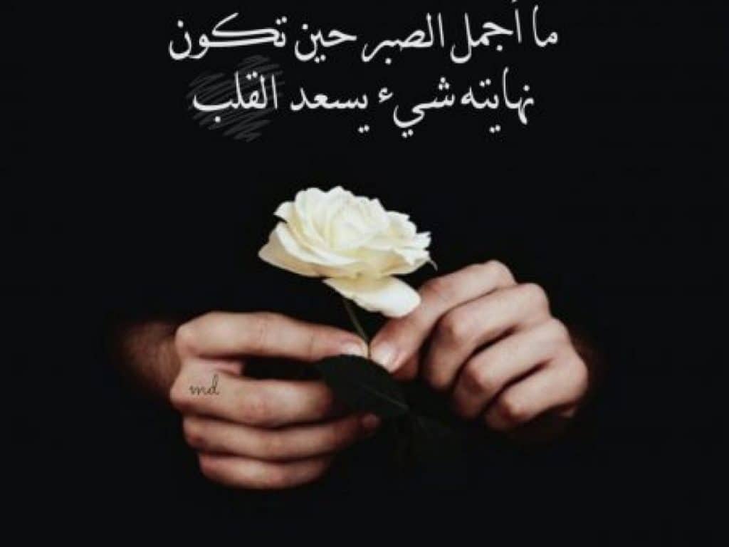 حالات واتس اب