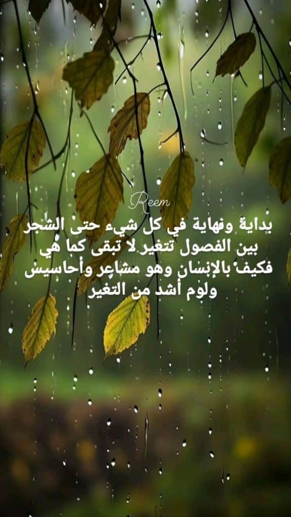 حالات واتس معبرة وهادئة صور