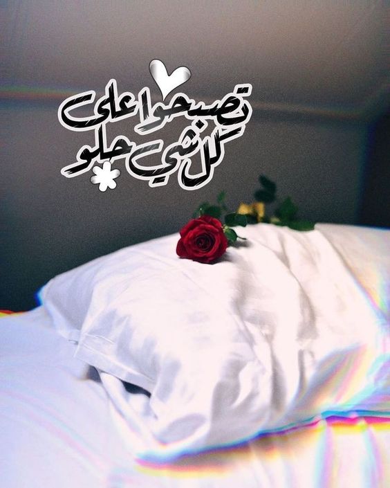حبيبي تصبح على خير ياعمري