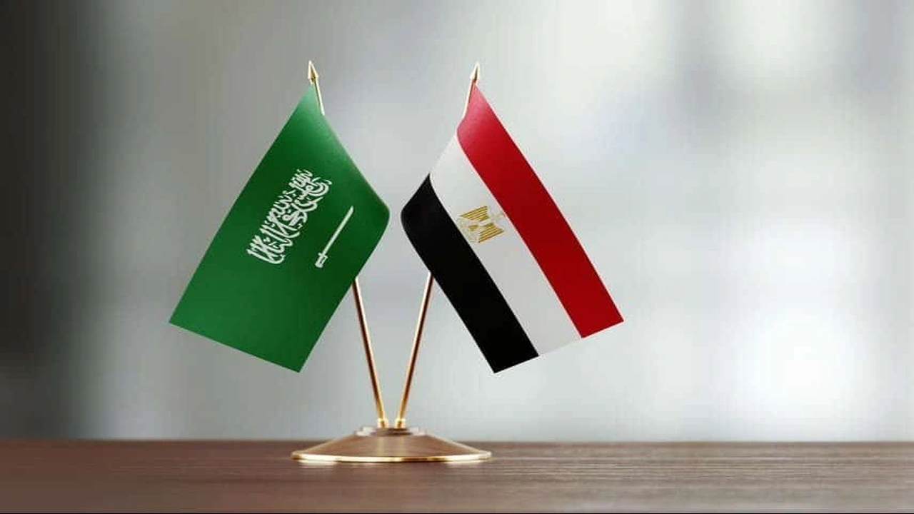 صورة حجز موعد السفارة المصرية بجدة