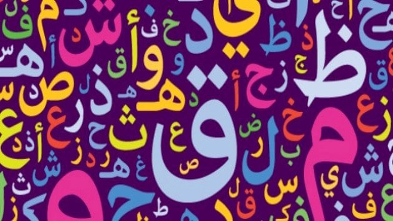 صورة حروف العطف في جمل مفيدة