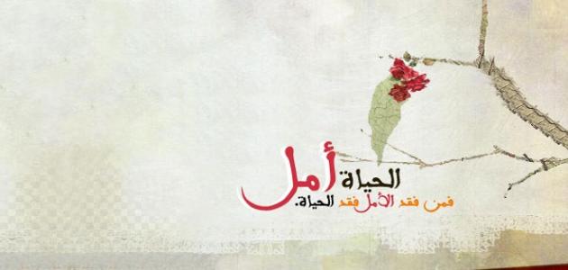 حكم عن الحياة