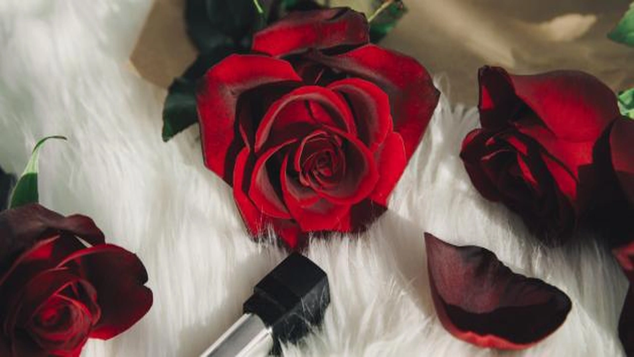 صورة حكمة عن الاحساس