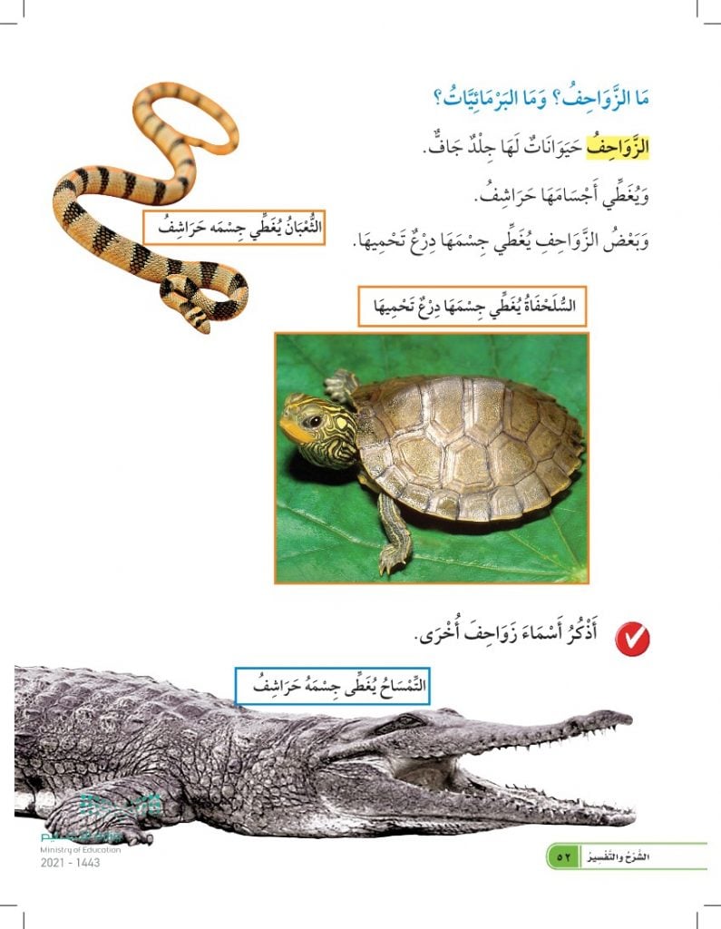 حل كتاب العلوم اول ابتدائي الفصل الاول