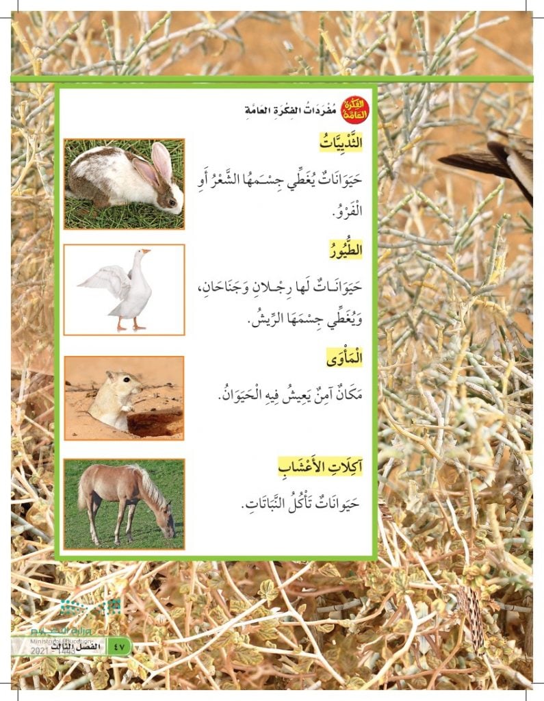 حل كتاب العلوم اول ابتدائي الفصل الاول