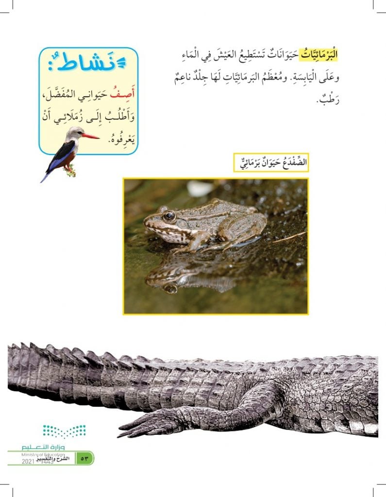 حل كتاب العلوم اول ابتدائي الفصل الاول