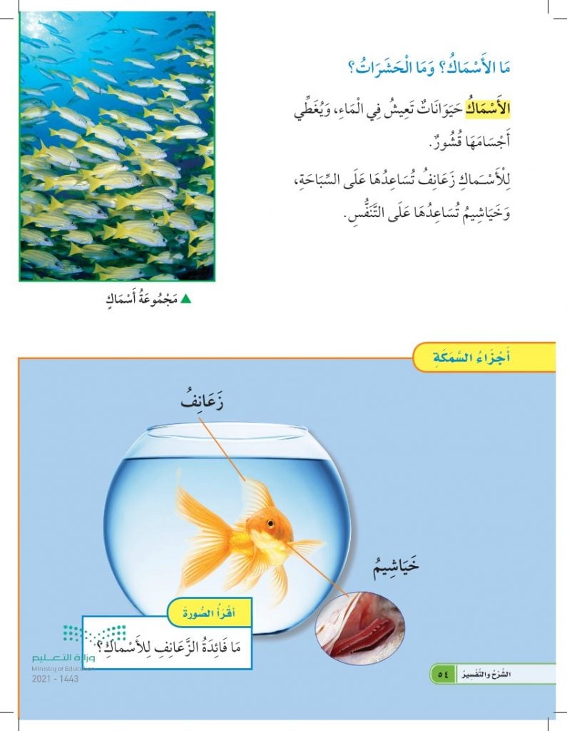 حل كتاب العلوم اول ابتدائي الفصل الاول