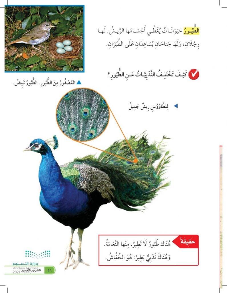 حل كتاب العلوم اول ابتدائي الفصل الاول