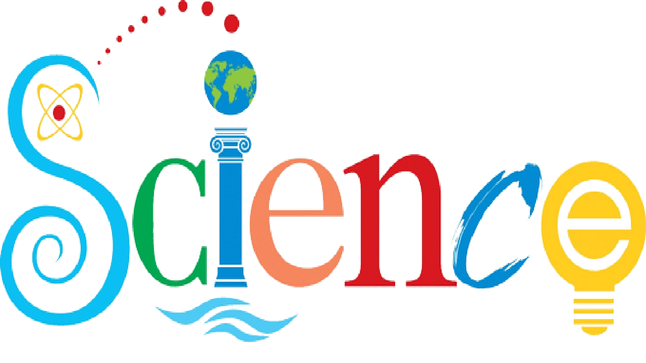 صورة حل كتاب العلوم للصف السادس الفصل الثاني