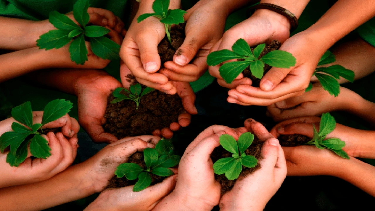 صورة خاتمة إذاعة مدرسية عن البيئة