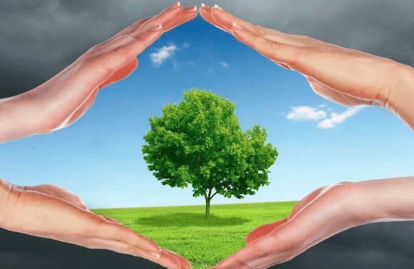 خاتمة إذاعة مدرسية عن البيئة