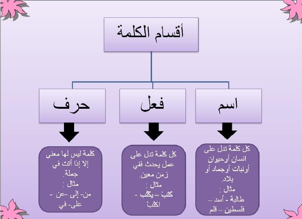 خريطة مفاهيم أقسام الكلمة