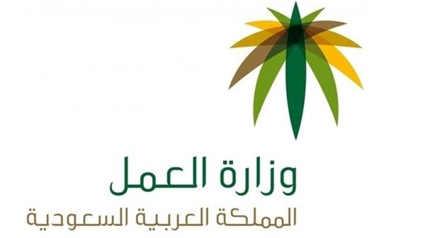 خطاب عدم ممانعة نقل كفالة doc