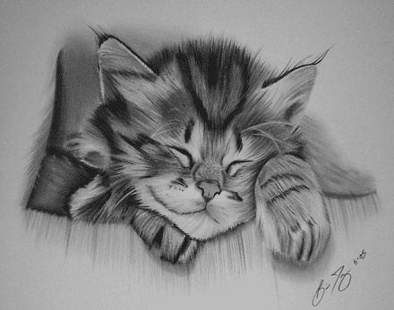خطوات الرسم بالرصاص