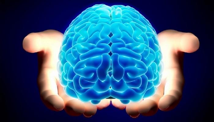 خلطة يابانية لتقوية الذكاء والتركيز للاطفال