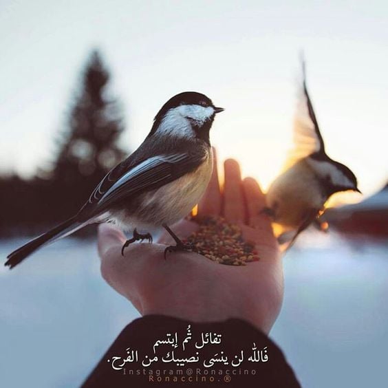 خلفيات اسلامية للواتس اب