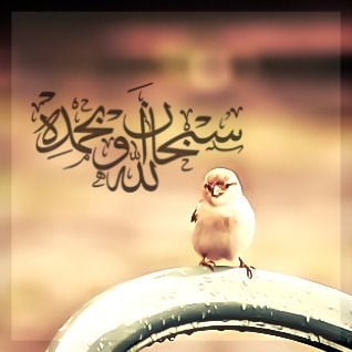 خلفيات اسلامية للواتس اب