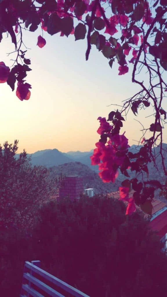 خلفيات الشاشة للهاتف