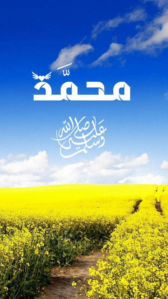 خلفيات الشاشة للهاتف