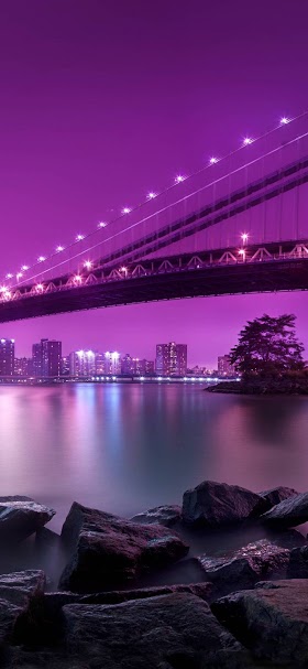 خلفيات بنفسجية