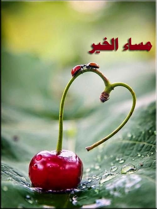 خلفيات مساء الخير