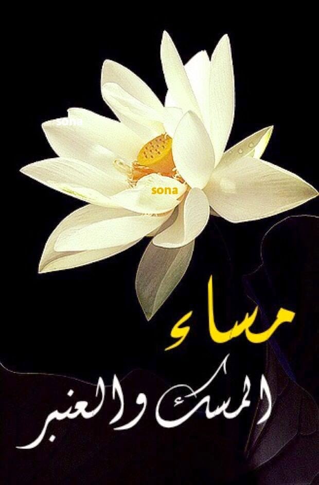خلفيات مساء الخير