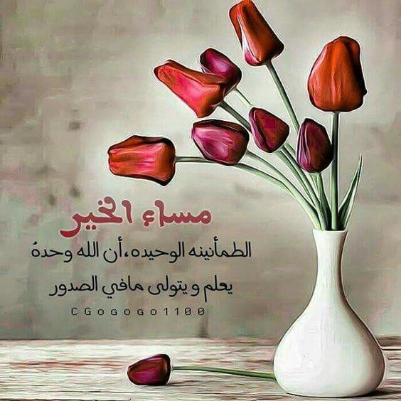 خلفيات مساء الخير