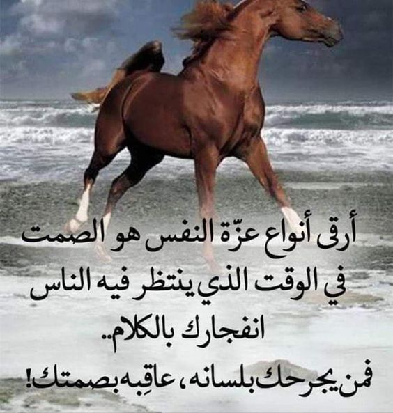 خلفيات مكتوب عليها حكم عن الحياة