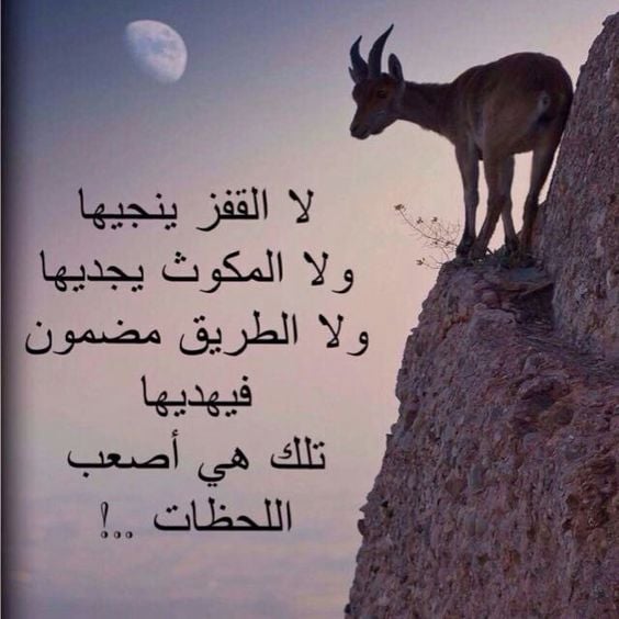 خلفيات مكتوب عليها حكم عن الحياة