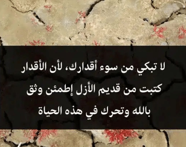 خلفيات مكتوب عليها حكم عن الحياة