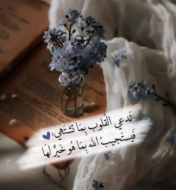 خلفيات مكتوب عليها حكم عن الحياة