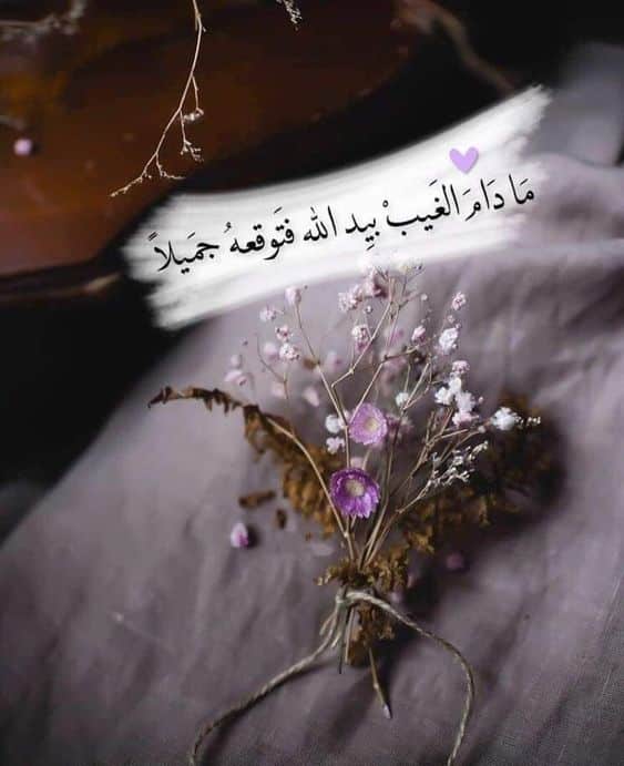 خلفيات مكتوب عليها حكم عن الحياة