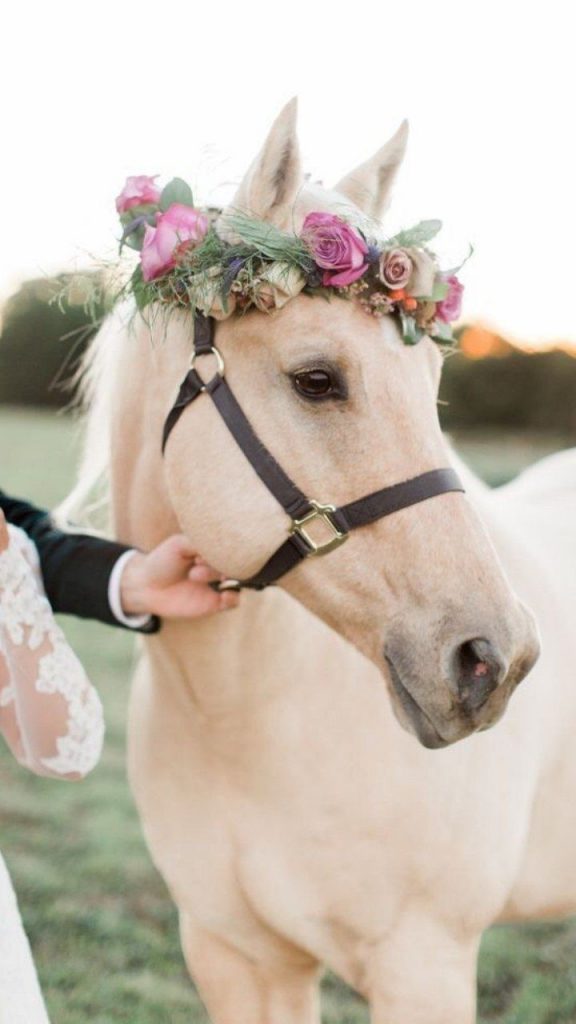 خلفيات هاتف للبنات 2021