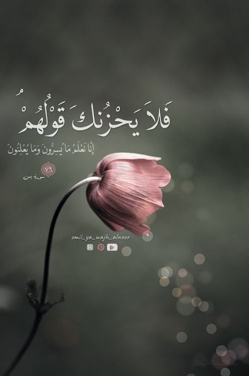 خلفيات واتس اب حلوة