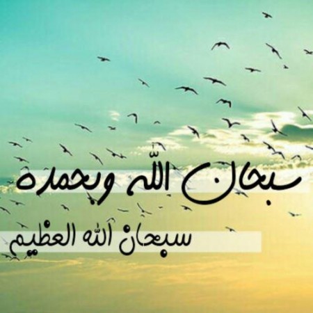 خلفيات واتس اب حلوة