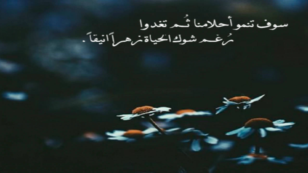 صورة خلفيات واتس اب حلوة