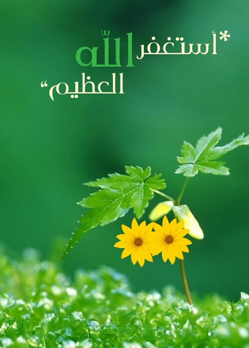 خلفيات واتس اب روعة