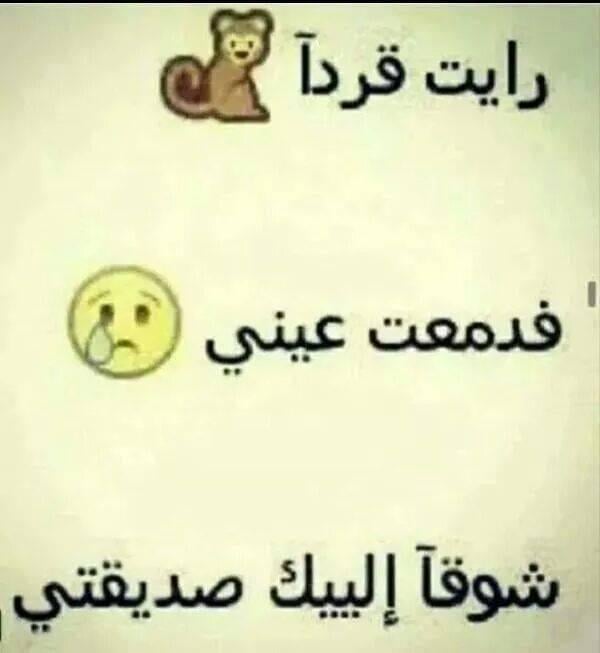 خلفيات واتس اب مضحكه للبنات