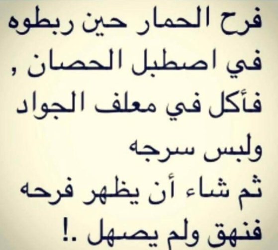 خلفيات واتس اب مضحكه للبنات