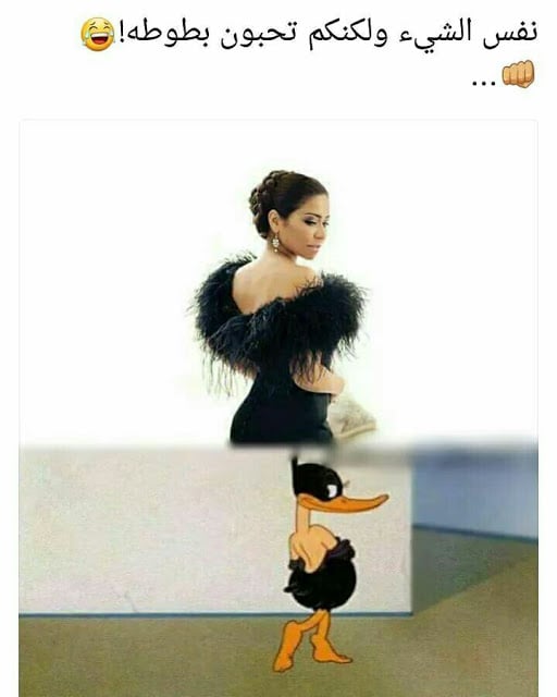 خلفيات واتس اب مضحكه للبنات