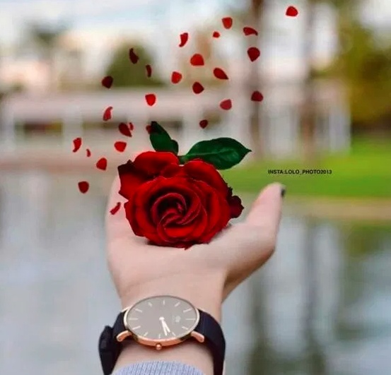 خلفيات واتس اب مضحكه للبنات