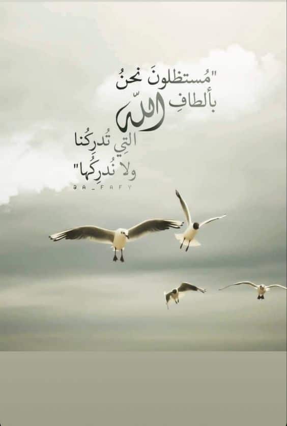 خواطر ايمانية مكتوبة