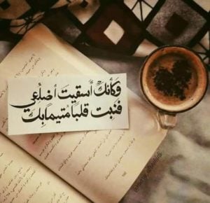 خواطر حب راقية