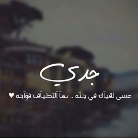 خواطر عن الجد