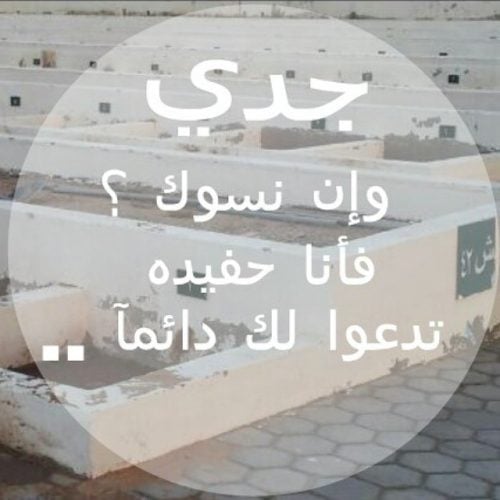 خواطر عن الجد