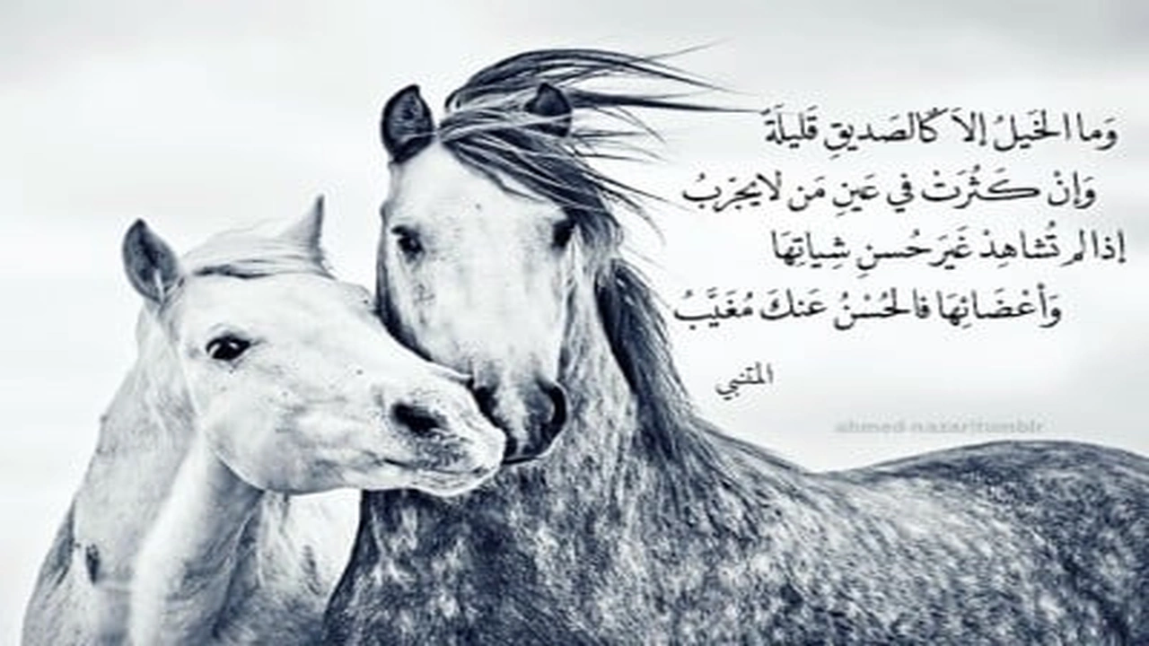 صورة خواطر عن الخيل