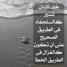 خواطر عن الدرب