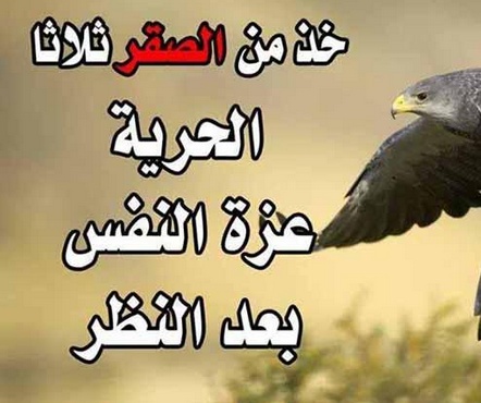 خواطر عن الذات