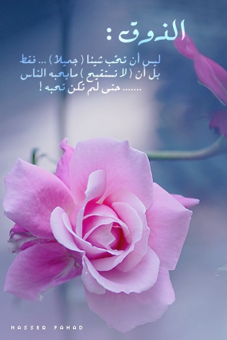 خواطر عن الذوق
