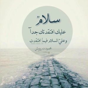 خواطر عن السلام